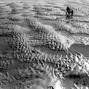 Child's Opening Part I -4